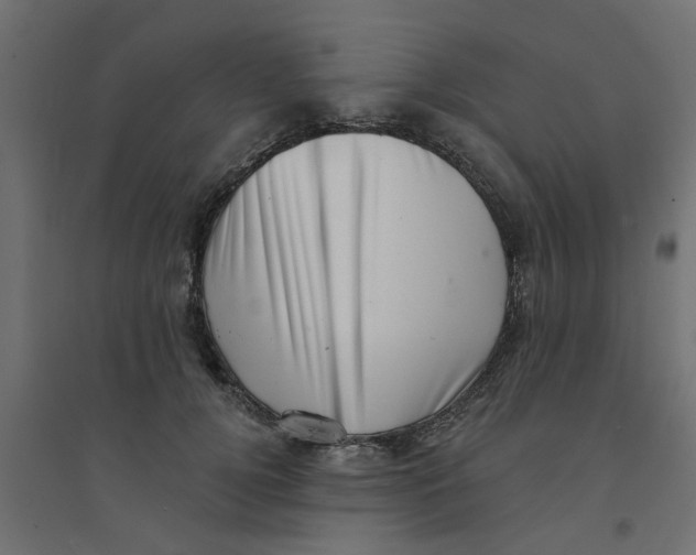 X0000094330752200711241829