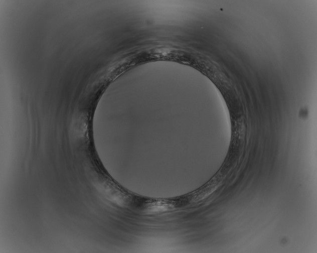 X0000094330754200711241829