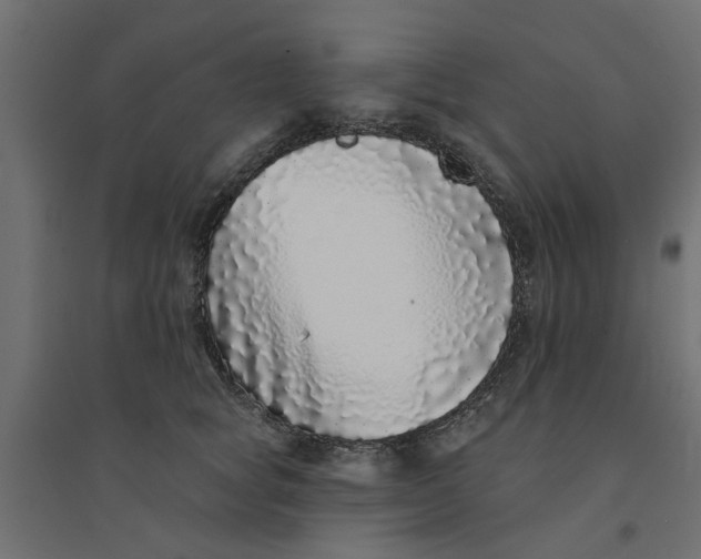 X0000094330757200711241829