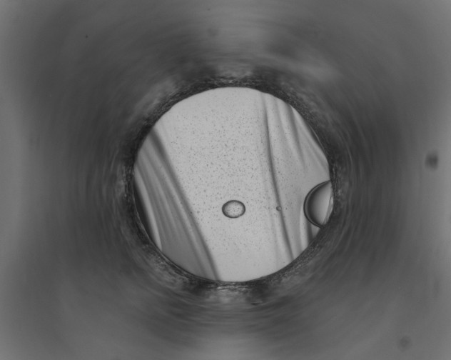 X0000094330758200711241829