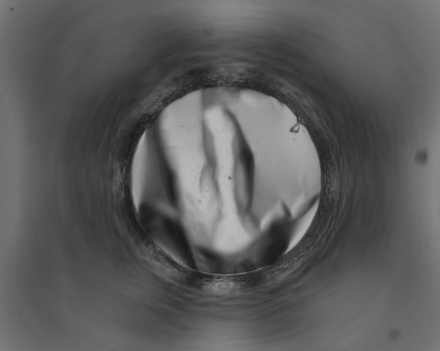 X0000094330759200711241829