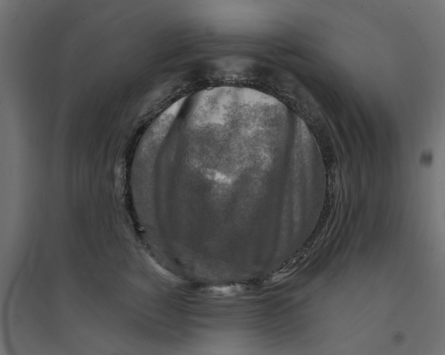 X0000094330760200711241829