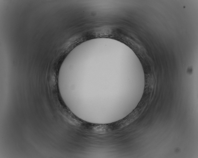 X0000094330761200711241829