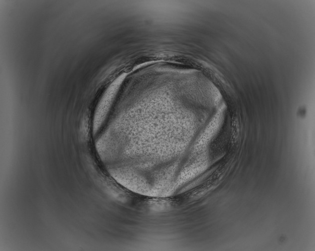 X0000094330762200711241829