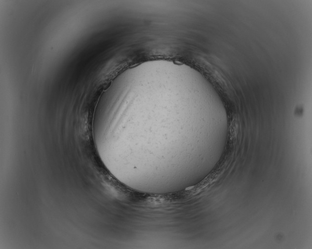 X0000094330764200711241829