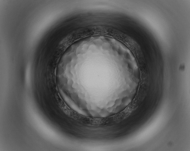 X0000094330765200711241829