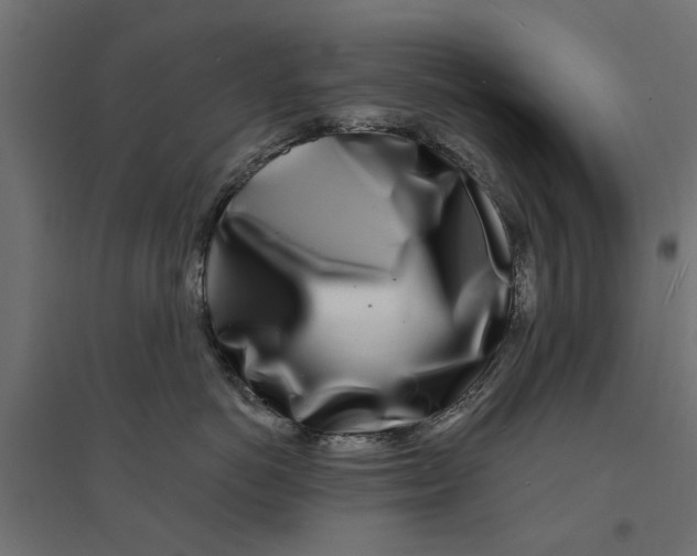 X0000094330766200711241829