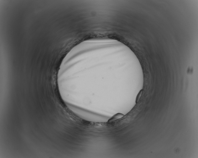 X0000094330768200711241829