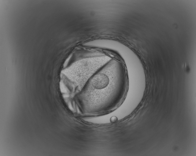 X0000094330769200711241828