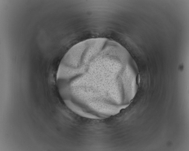 X0000094330770200711241828