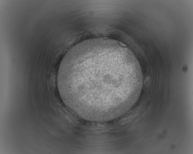 X0000094330772200711241828