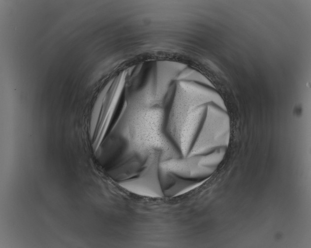 X0000094330774200711241828