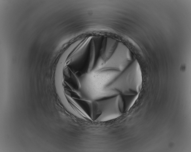 X0000094330775200711241828