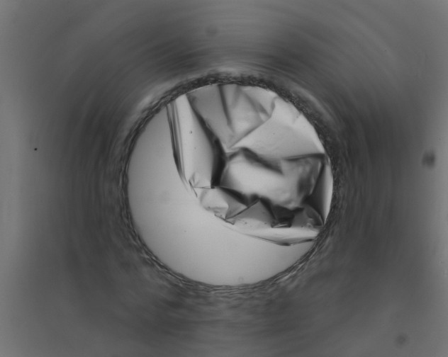 X0000094330776200711241828