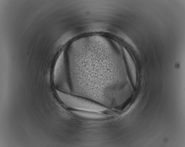 X0000094330777200711241828