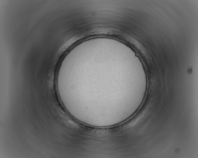 X0000094330778200711241828