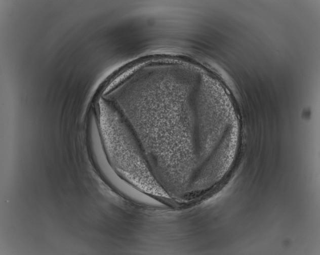 X0000094330779200711241828