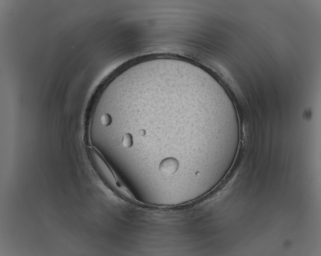 X0000094330780200711241828