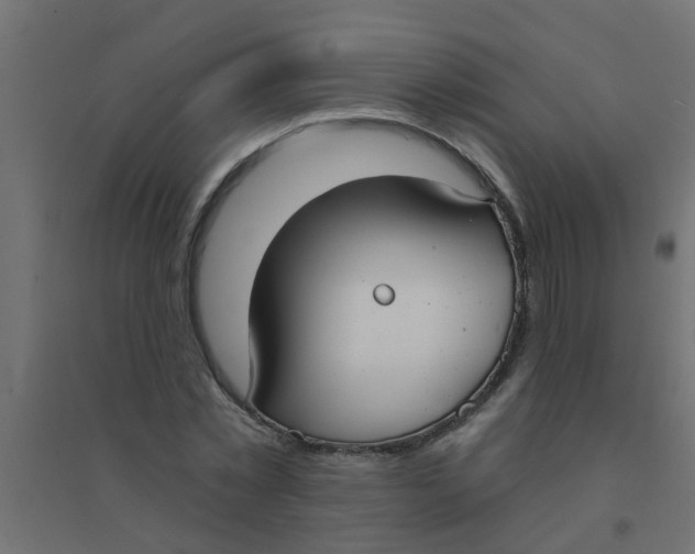 X0000094330781200711241828