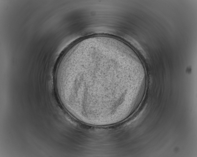 X0000094330782200711241828