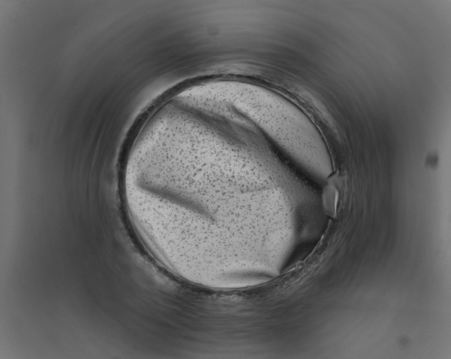 X0000094330784200711241828