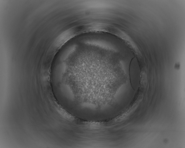 X0000094330785200711241828