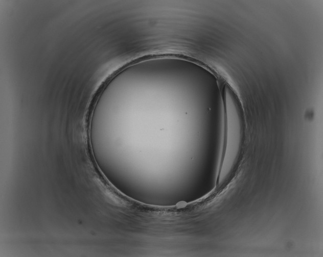 X0000094330789200711241828