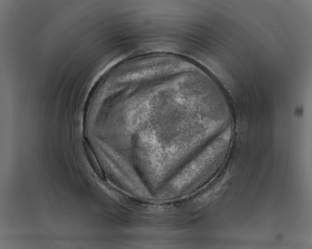 X0000094330790200711241828