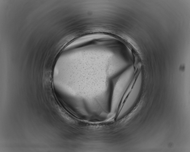 X0000094330793200711241828