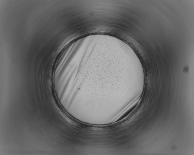 X0000094330794200711241828