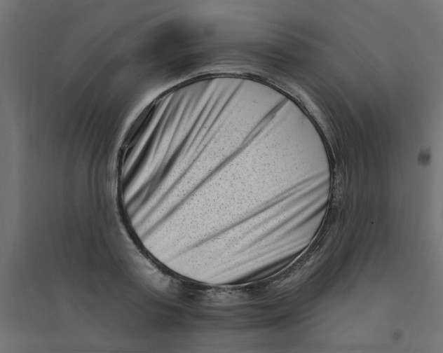 X0000094330795200711241828