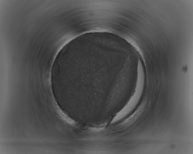 X0000094330797200711241828