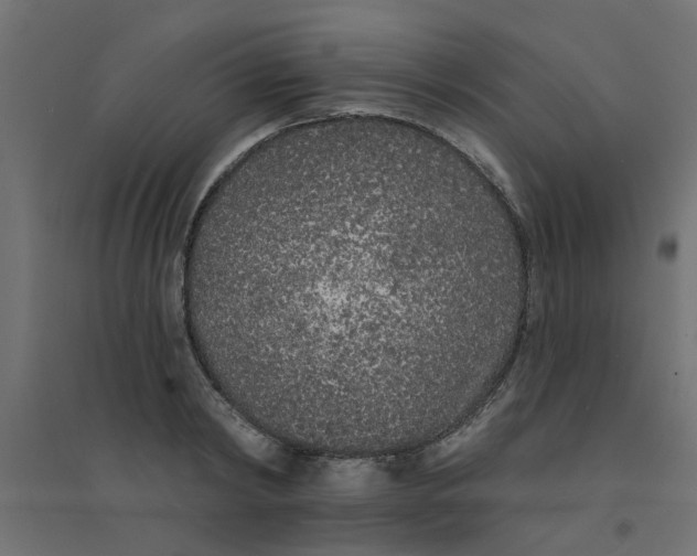 X0000094330798200711241828