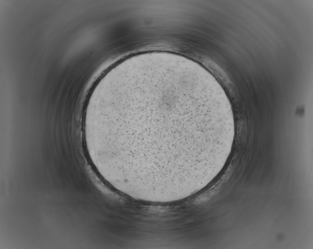 X0000094330800200711241828