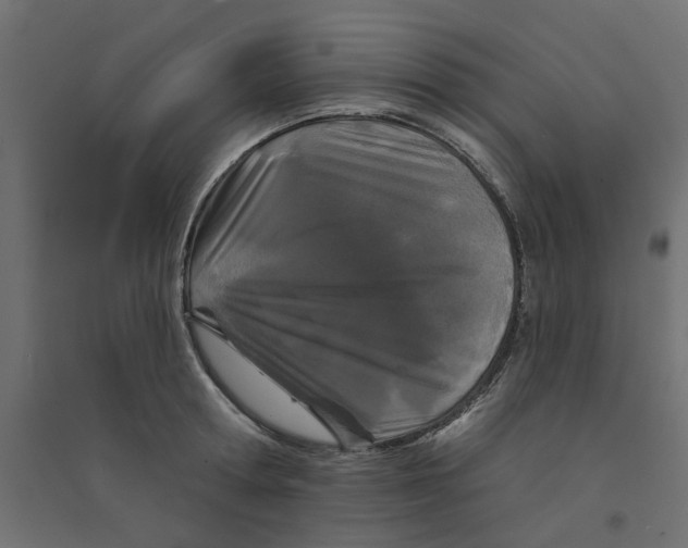 X0000094330802200711241828