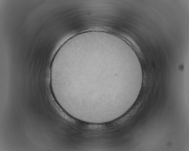 X0000094330804200711241828