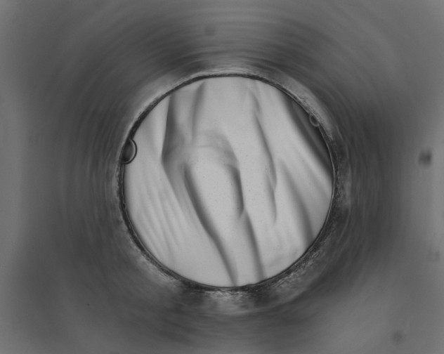 X0000094330805200711241828