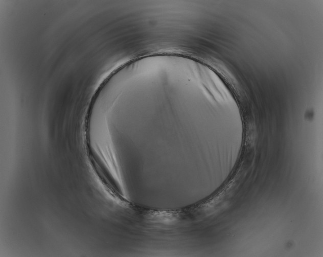 X0000094330806200711241828