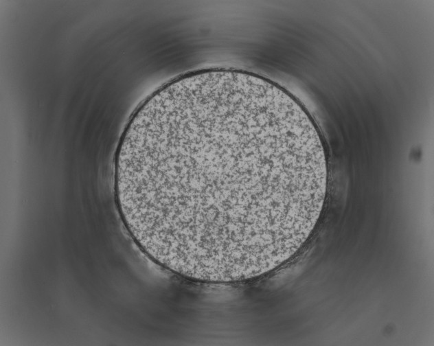 X0000094330807200711241828