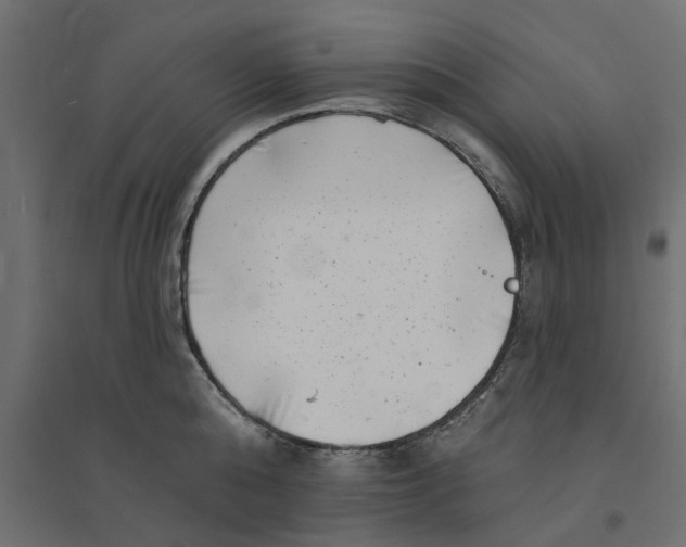 X0000094330808200711241828