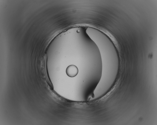 X0000094330809200711241828