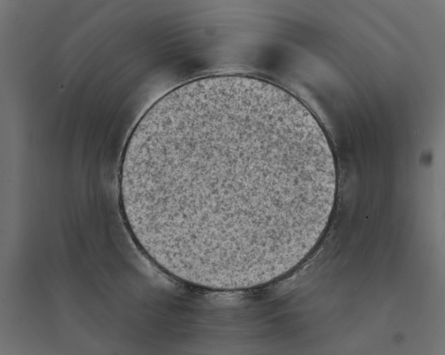 X0000094330810200711241828