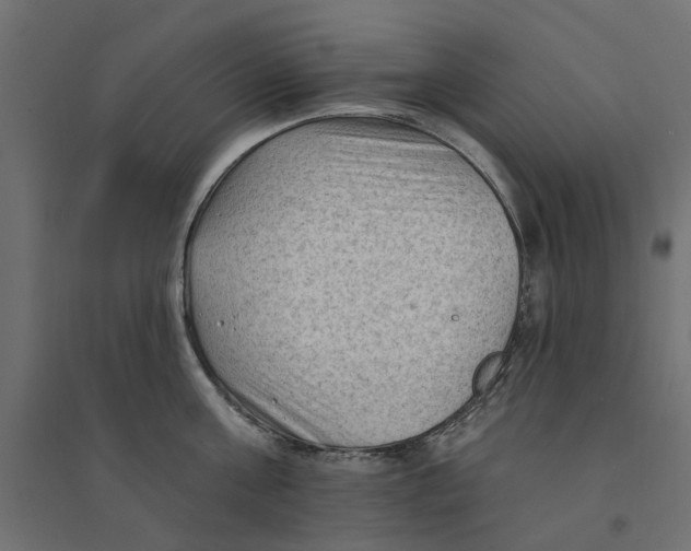 X0000094330811200711241828