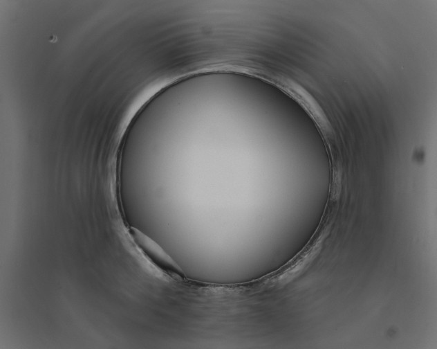 X0000094330812200711241828