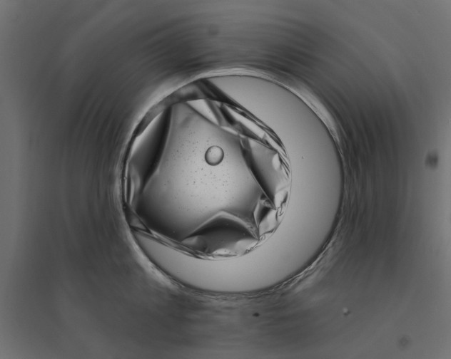 X0000094330813200711241828