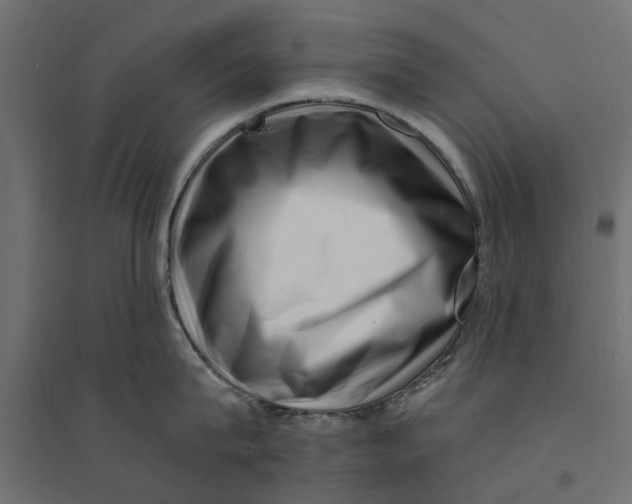 X0000094330815200711241828