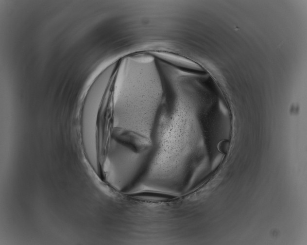 X0000094330816200711241828