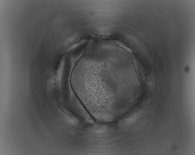 X0000094330818200711241827