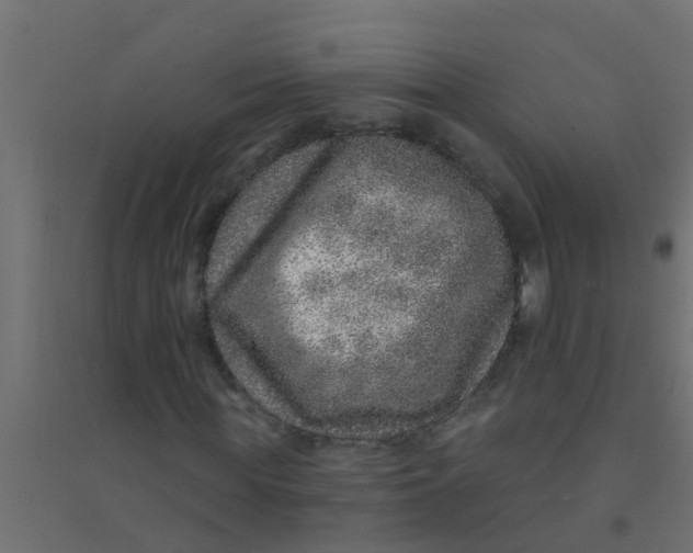 X0000094330819200711241827