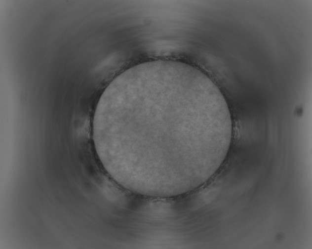 X0000094330820200711241827